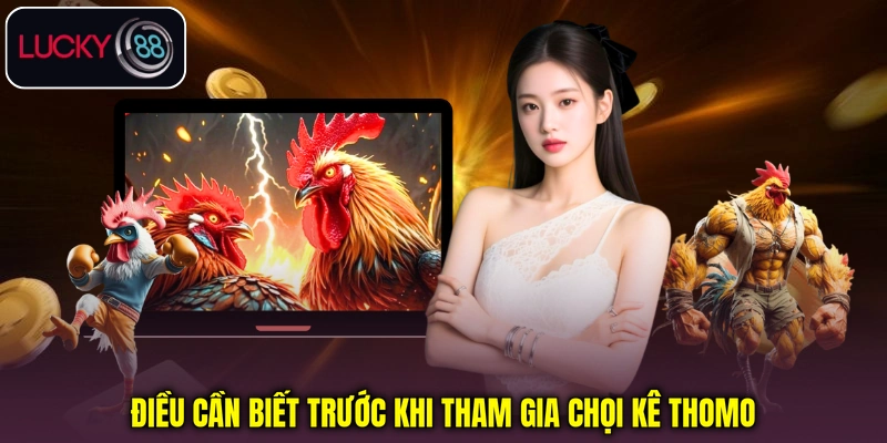 Điều cần biết trước khi tham gia chọi kê Thomo Điều cần biết trước khi tham gia chọi kê Thomo