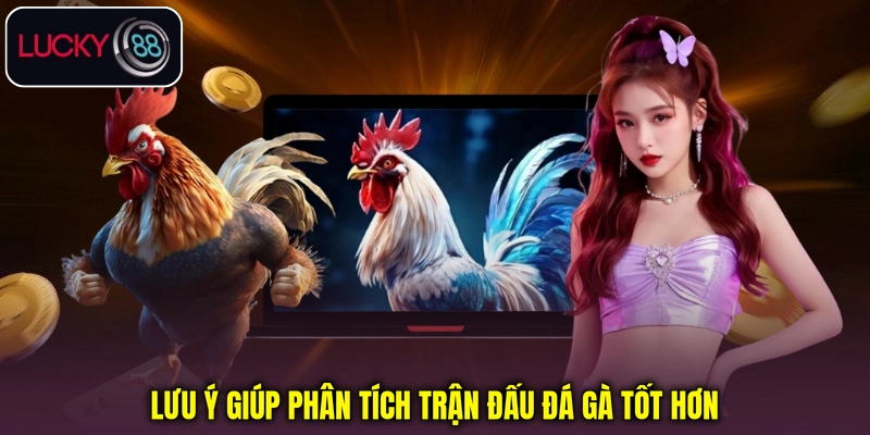 Lưu ý giúp phân tích trận đấu đá gà tốt hơn Lưu ý giúp phân tích trận đấu đá gà tốt hơn