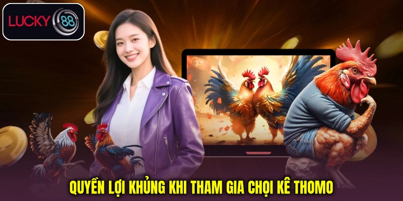 Quyền lợi khi tham gia chọi kê Thomo Quyền lợi khi tham gia chọi kê Thomo